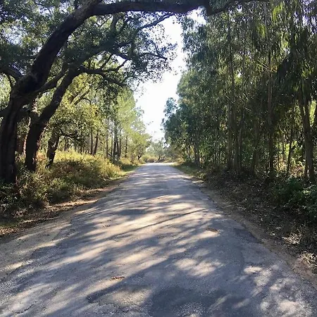 Διαμέρισμα Calme En Campagne Proche Plages & Surf