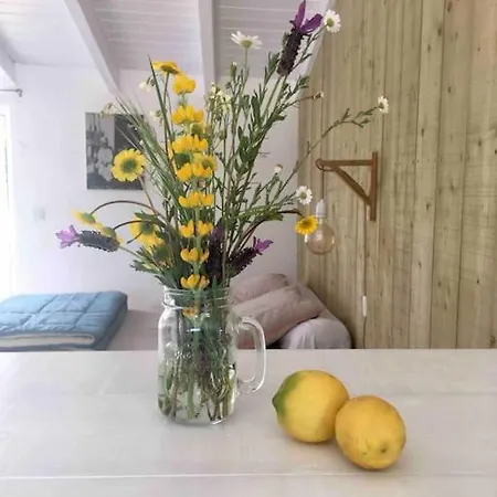 Chaleureux Entre Campagne Et Ocean Appartamento *