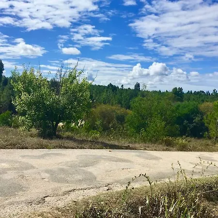 Chaleureux Entre Campagne Et Océan * Rogil
